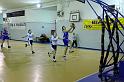 Basket 242087